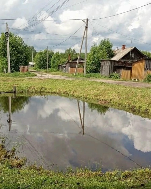 Любят свою улицу