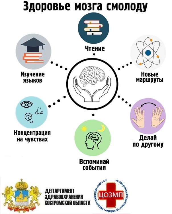 здоровье мозга.jpg здоровье мозга.jpg