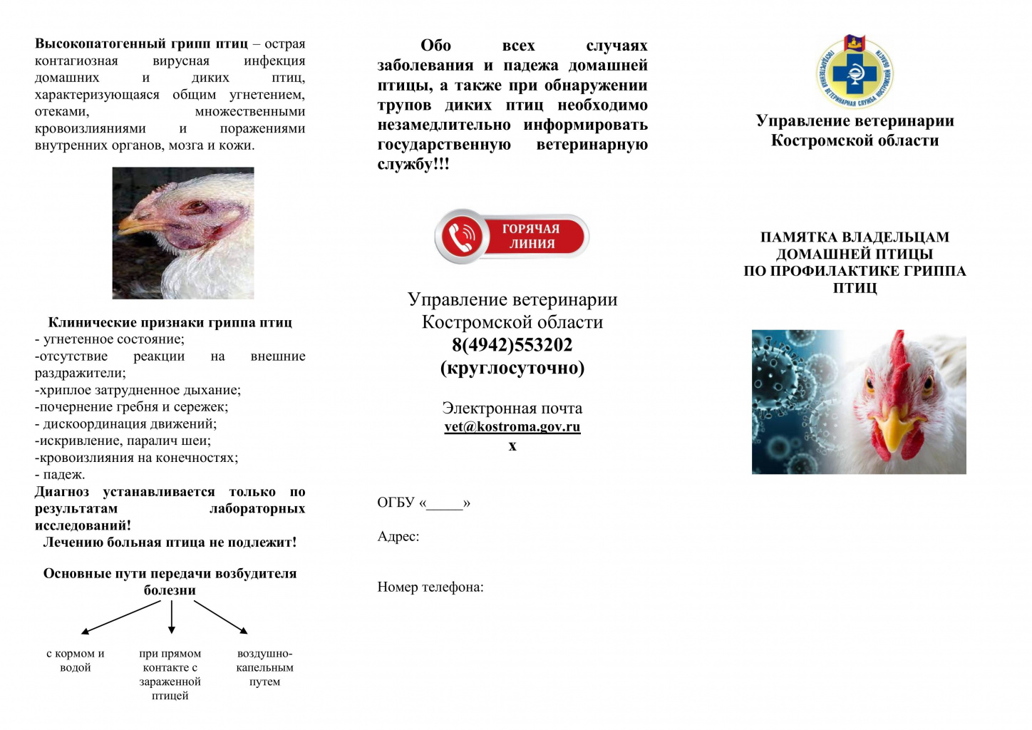Памятка Грипп птиц-изображения-0.jpg Памятка Грипп птиц-изображения-0.jpg