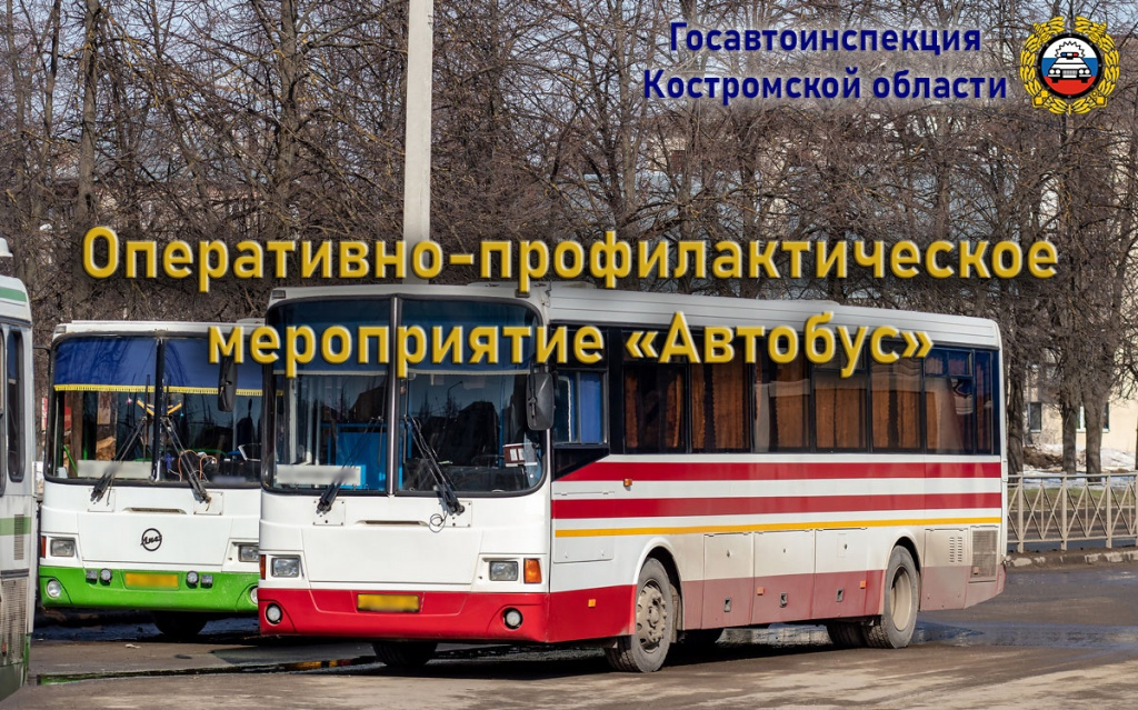 x0LV_a6pgDM.jpg