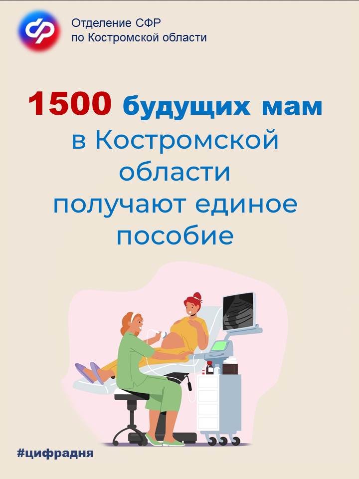 беременные.jpg