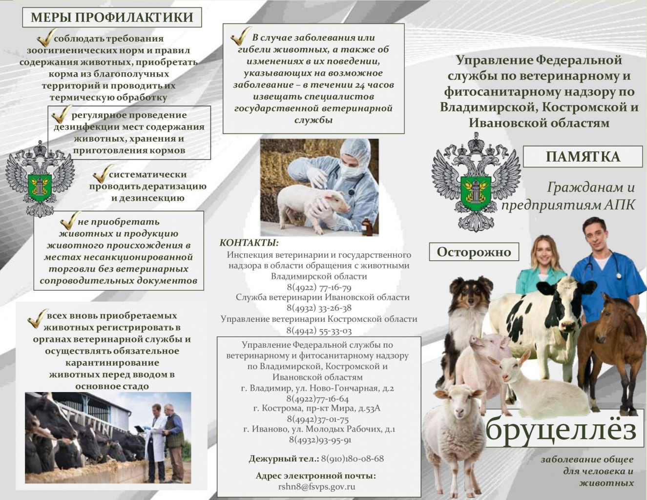 Памятка по Бруцеллез (1)_00001.jpg