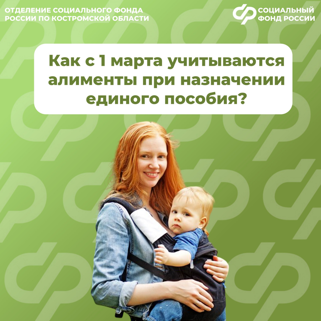 алименты.jpg