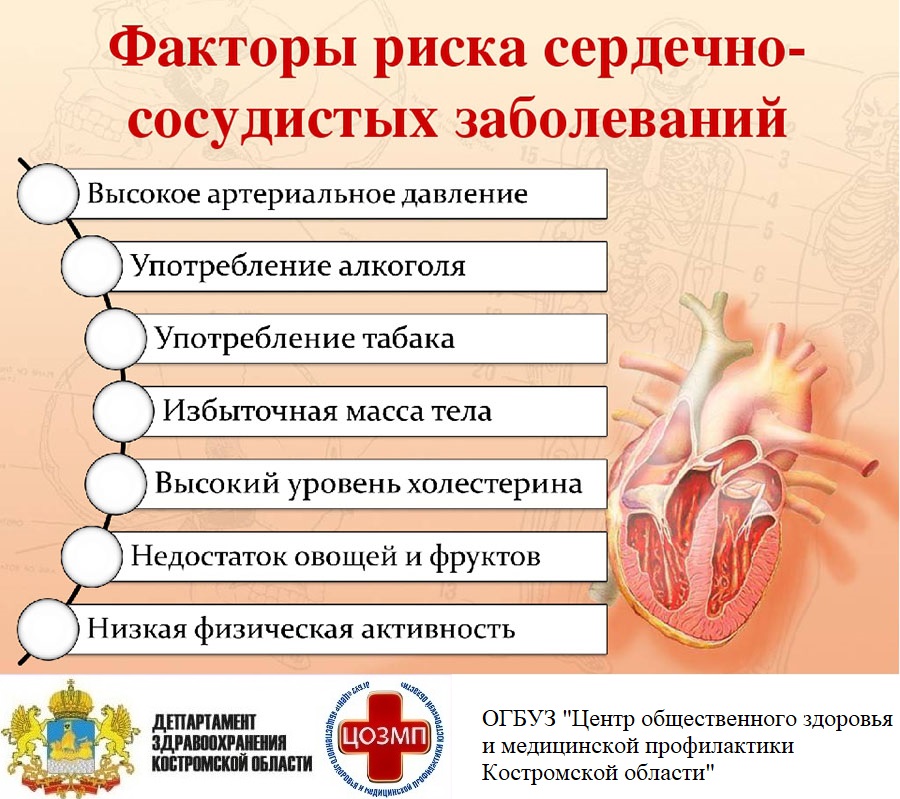 факторы риска ССЗ.jpg факторы риска ССЗ.jpg