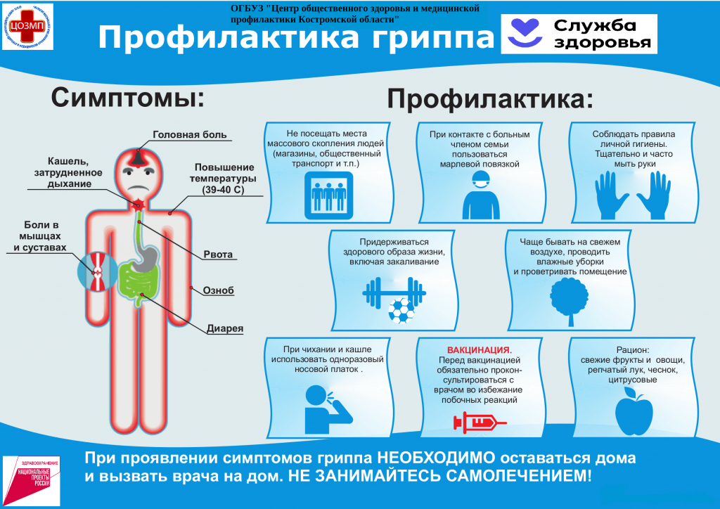 грипп 1.png грипп 1.png
